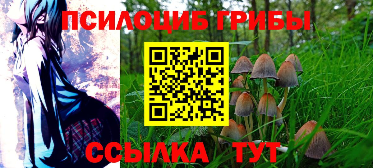 закладки  Вход с VPN  Губаха  Галлюциногенные грибы Psilocybe  Галлюциногенные грибы Magic Shrooms 